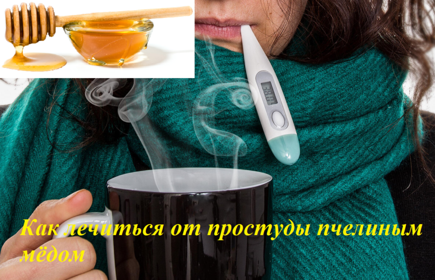 Как лечиться от простуды мёдом