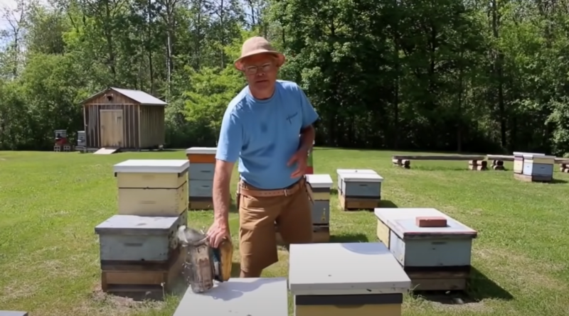 Базовый видеокурс пчеловодства Университета г.Гвелф для начинающих пчеловодов (Канада)
